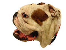 BOS figure 1