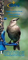 GBHi Feeding Garden Birds Leaflet