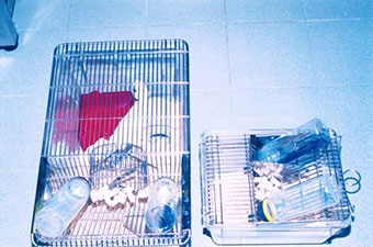 Enriched and unenriched mouse cages of different sizes with choice of water bottles, one containing an anxiolytic