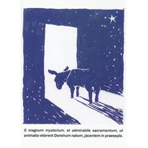 The Donkey