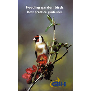 Feeding Garden Birds: Best Practice Guidelines