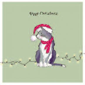 The Festive Cat